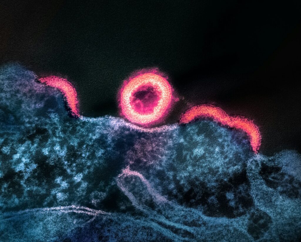 26 Genetic Discoveries That Completely Changed What It Means to Be Human