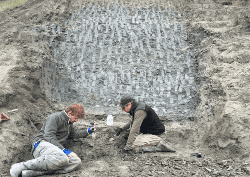 Birds Were Nesting in the Arctic 73 Million Years Ago — And They Lived Alongside Dinosaurs