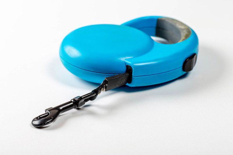 Why Vets Cringe at These 29 Popular Pet Products