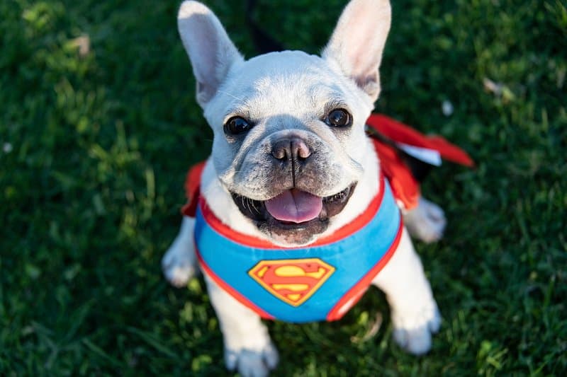 15 Superpowers Everyone Wishes They Had