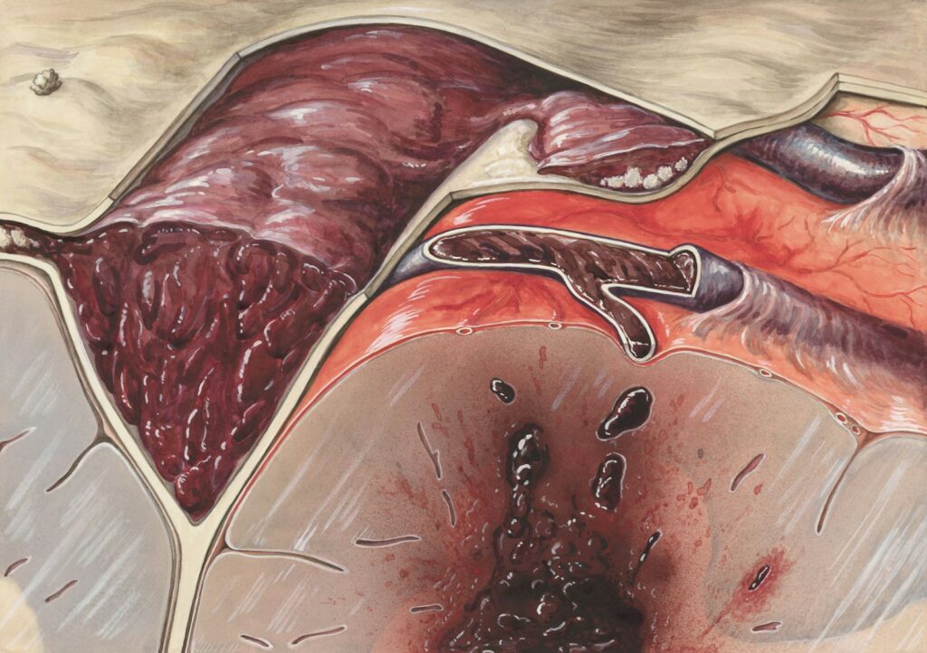 4 Organs You&#8217;ll Be Able to Regrow from Your Own Cells by 2035