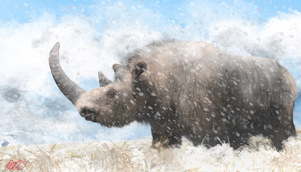 Woolly Rhino Remains Discovered in Alaska