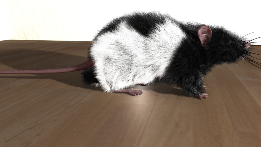 23 Common Pets Are Racing Toward Extinction (But 3 Incredible Success Stories Show the Fight Isn&#8217;t Over)