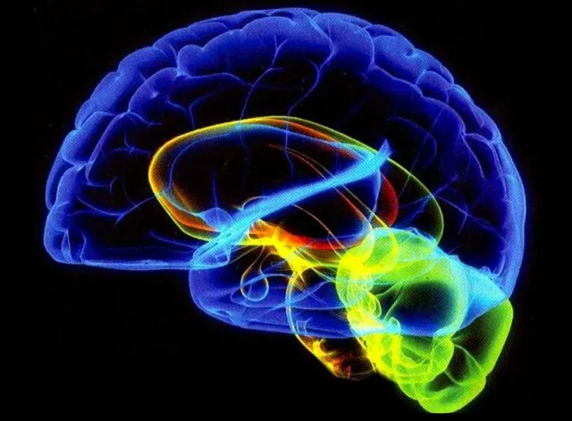 Consciousness remains science&#8217;s greatest mystery: 25 things about your mind scientists can&#8217;t explain