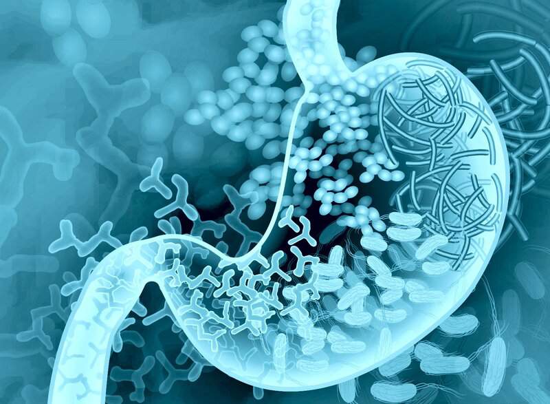 While you sleep, your body performs miracles: 23 overnight processes that keep you alive