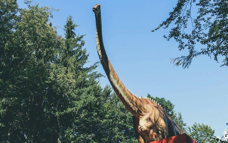 15 Surprising Facts About Dinosaurs You Didn&#8217;t Know
