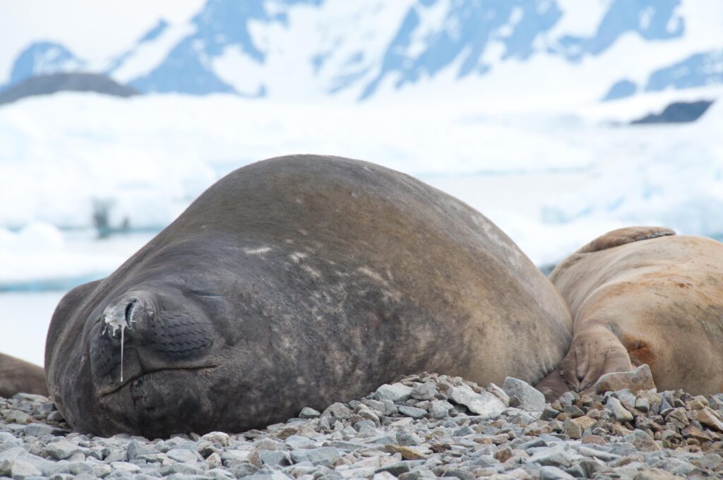 23 Devastating Changes I Witnessed During 6 Months in the Arctic