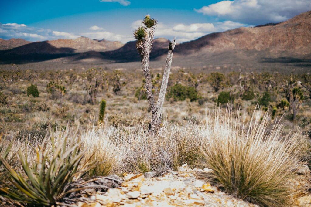 Experts Warn: 2025&#8217;s First Heat Wave Could Break Records and Send People to Hospitals