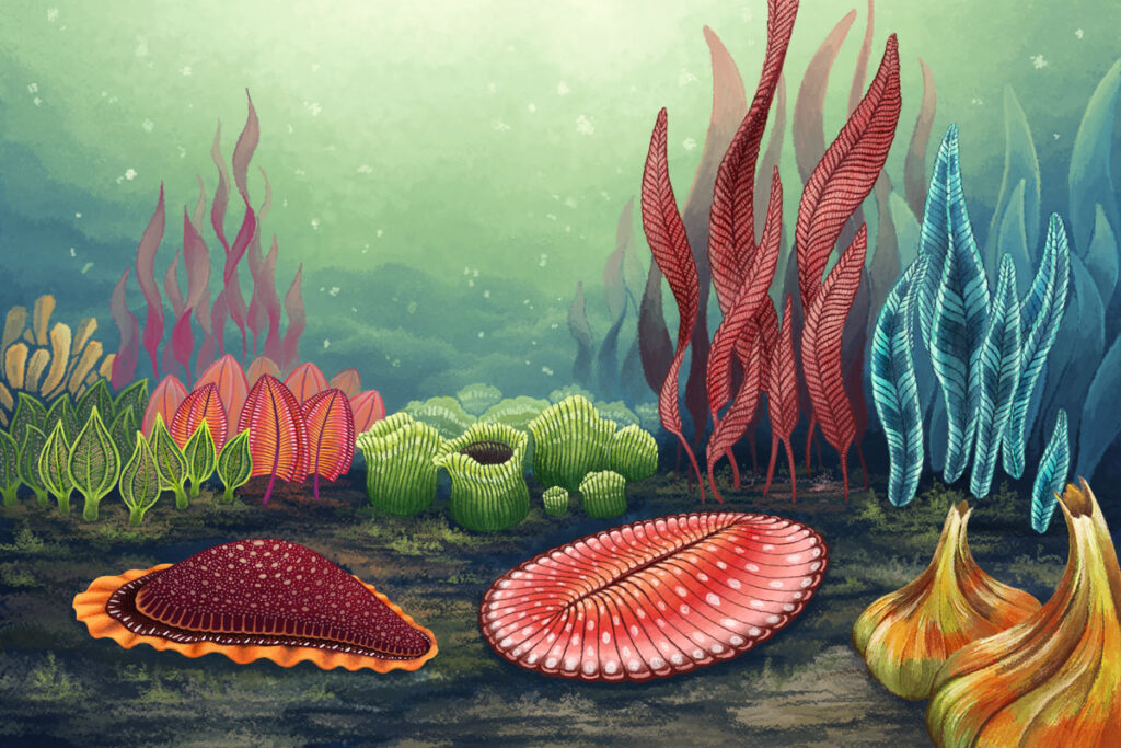 Scientists Are Stunned: Complex Life on Earth May Be Far More Ancient Than Believed