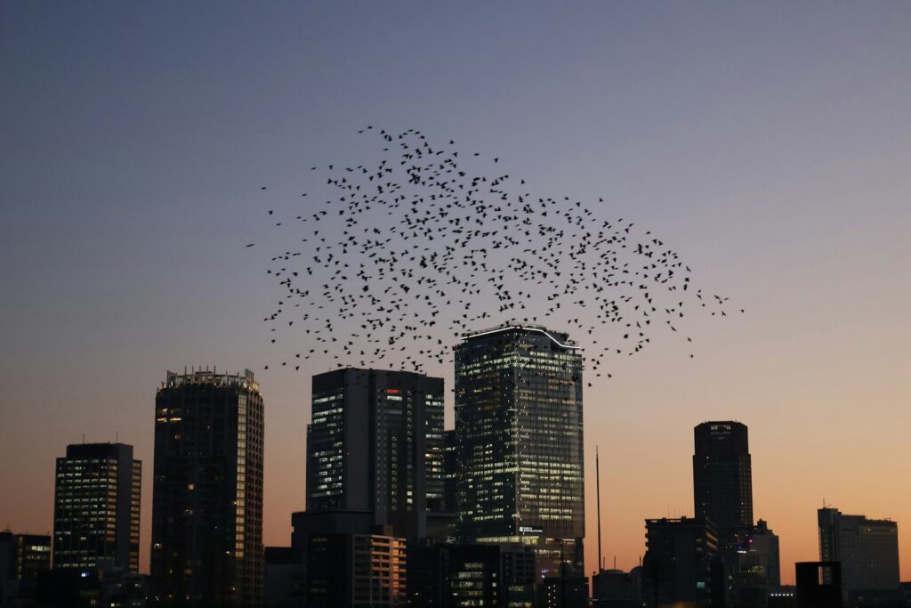 I Followed Migrating Birds for 3 Years: 24 Mind-Blowing Navigation Secrets They Use