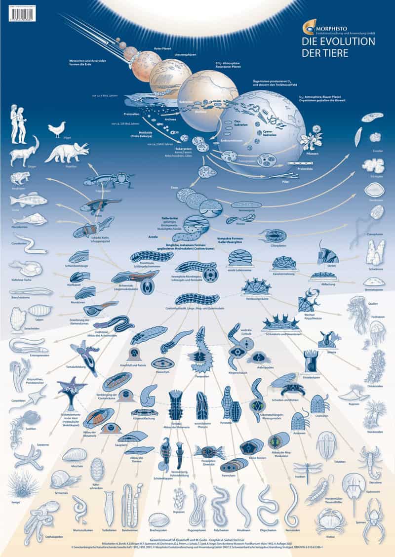 Why Everything You Learned in Biology Class Is Outdated — 28 Recent Discoveries That Rewrote the Rules