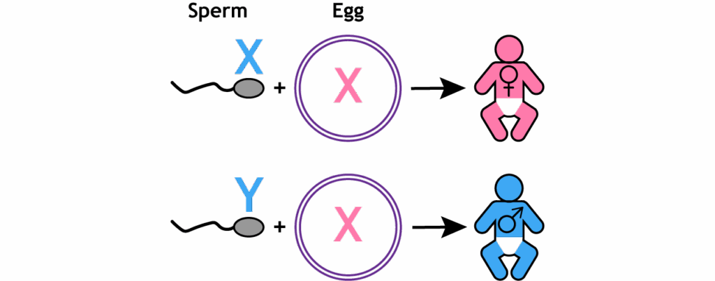 26 Genetic Discoveries That Completely Changed What It Means to Be Human