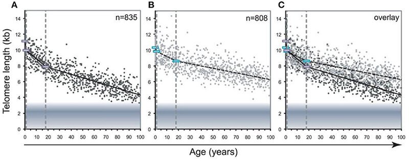 26 Genetic Discoveries That Completely Changed What It Means to Be Human