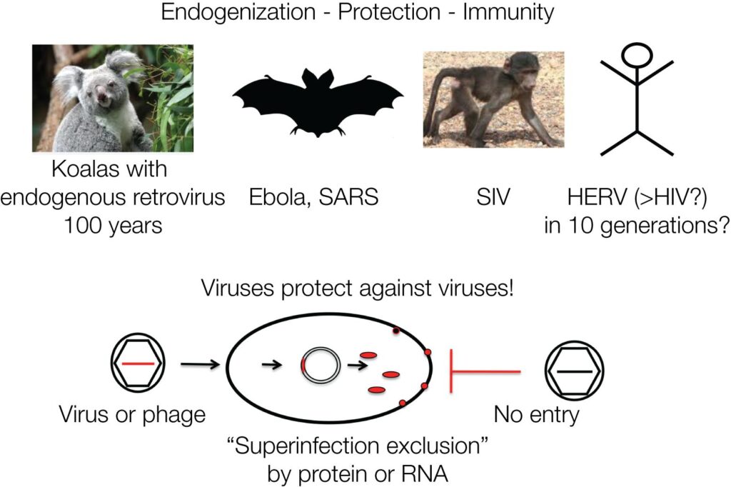 Why Everything You Learned in Biology Class Is Outdated — 28 Recent Discoveries That Rewrote the Rules