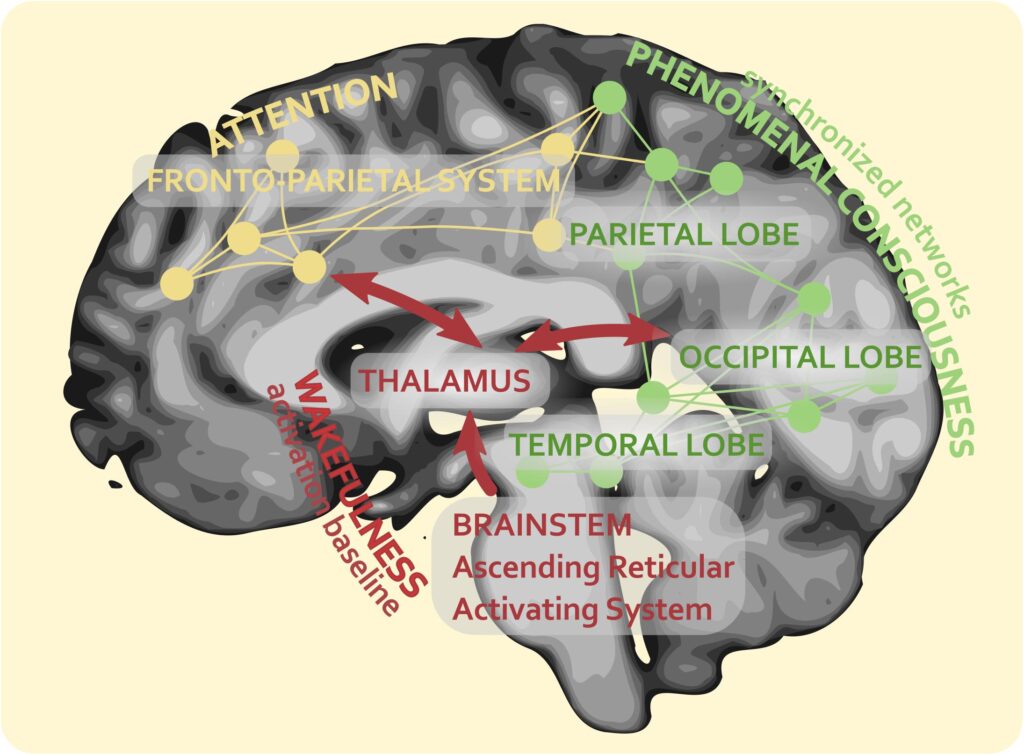The most complex machine in the universe is in your head: 23 brain functions scientists can&#8217;t replicate