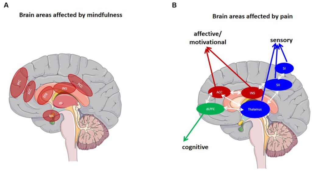 The most complex machine in the universe is in your head: 23 brain functions scientists can&#8217;t replicate