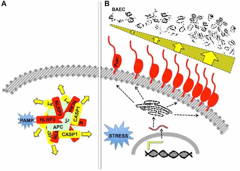Why Everything You Learned in Biology Class Is Outdated — 28 Recent Discoveries That Rewrote the Rules
