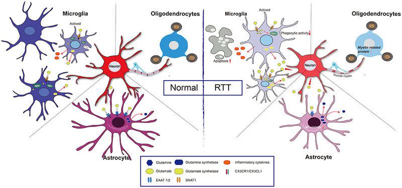 Gene Therapy Will Cure the Incurable: 30 Genetic Diseases with Expiration Dates