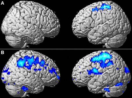 I Hacked My Own Brain for 30 Days—The Results Terrified Me