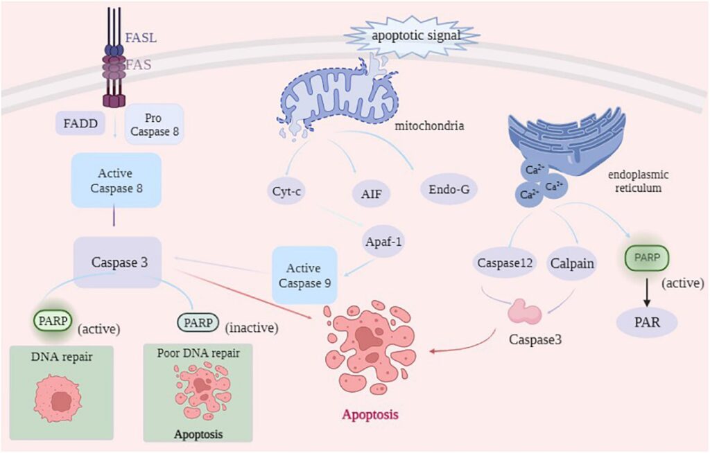 Why Everything You Learned in Biology Class Is Outdated — 28 Recent Discoveries That Rewrote the Rules