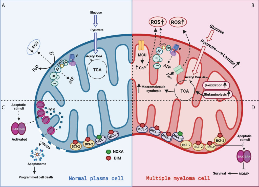 Why Everything You Learned in Biology Class Is Outdated — 28 Recent Discoveries That Rewrote the Rules