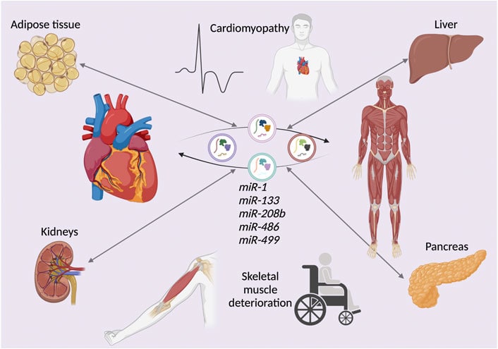 Gene Therapy Will Cure the Incurable: 30 Genetic Diseases with Expiration Dates
