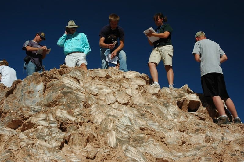 Geologists Might Have Stumbled Upon the Largest Gold Mine in the World