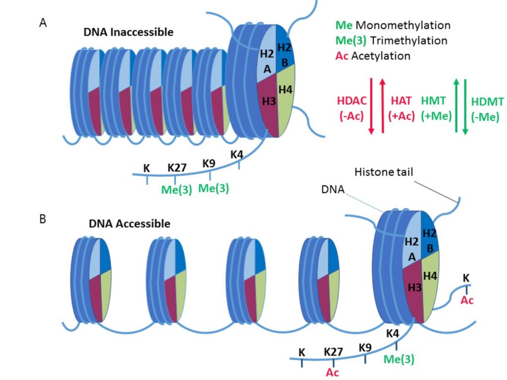 Why Everything You Learned in Biology Class Is Outdated — 28 Recent Discoveries That Rewrote the Rules