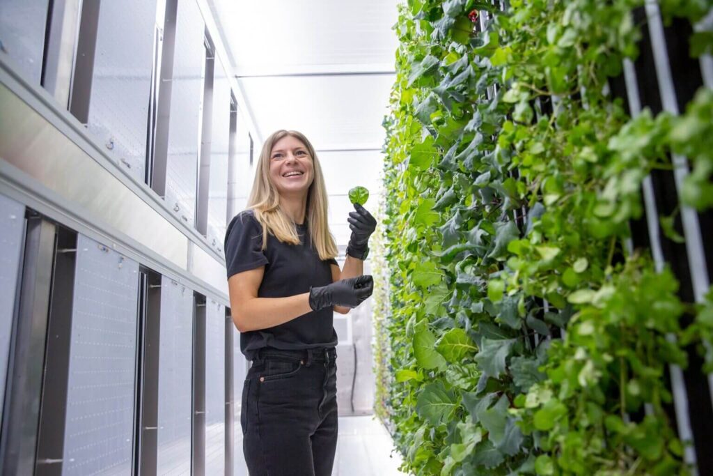 Experts Warn: 2025&#8217;s First Heat Wave Could Break Records and Send People to Hospitals