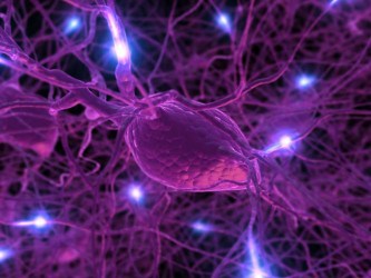 Gene Therapy Will Cure the Incurable: 30 Genetic Diseases with Expiration Dates