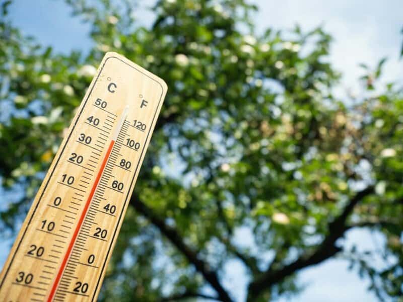 Experts Warn: 2025&#8217;s First Heat Wave Could Break Records and Send People to Hospitals