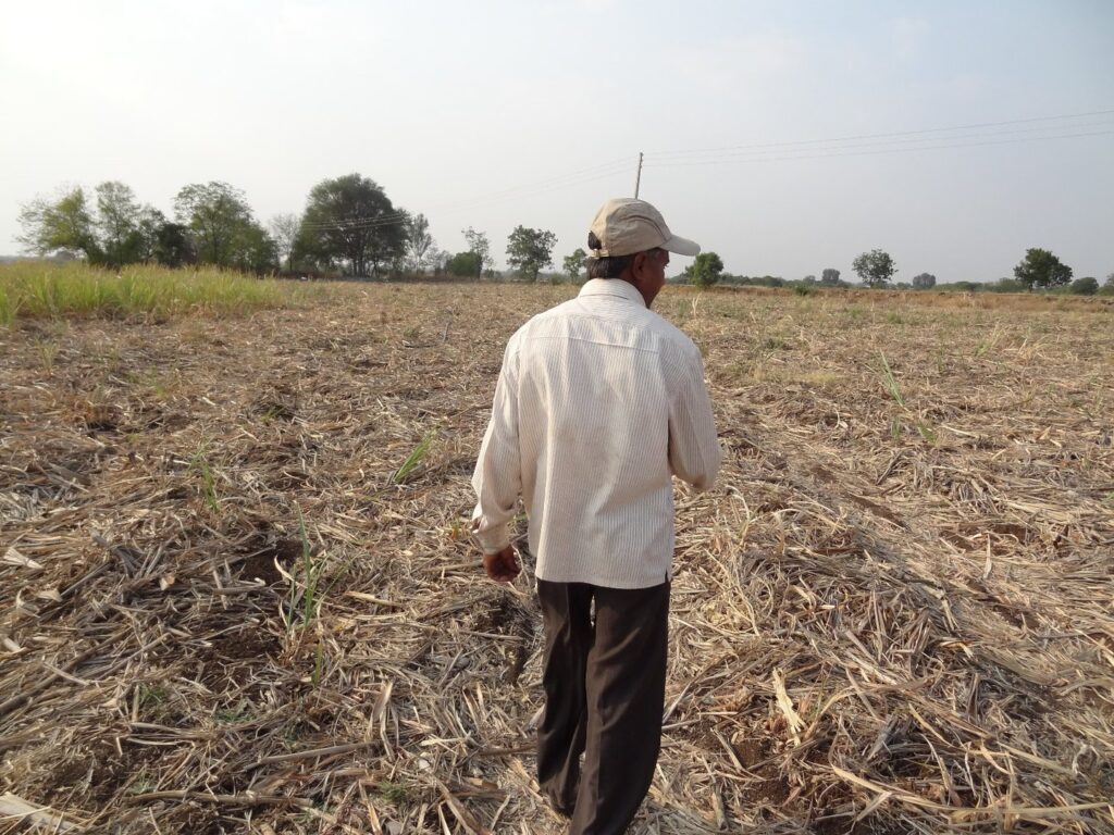 Experts Warn: 2025&#8217;s First Heat Wave Could Break Records and Send People to Hospitals