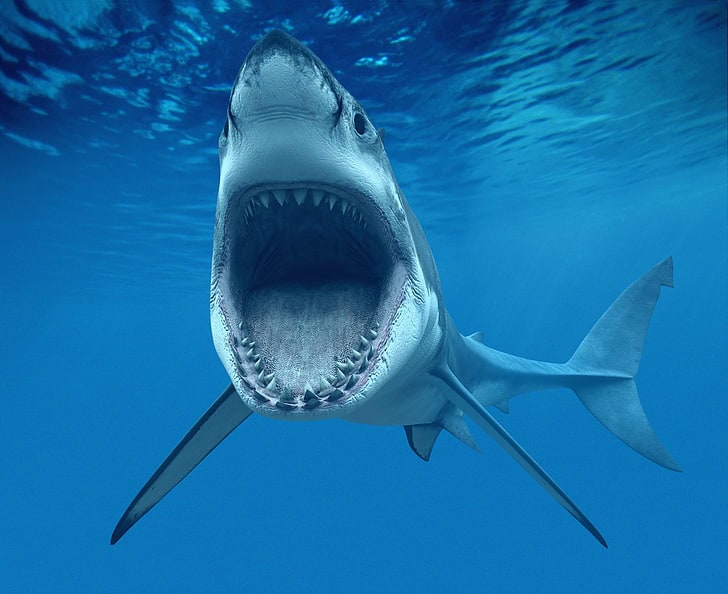 Do Sharks Make Sounds? 21 Mind-Blowing Facts About This Accidental Discovery