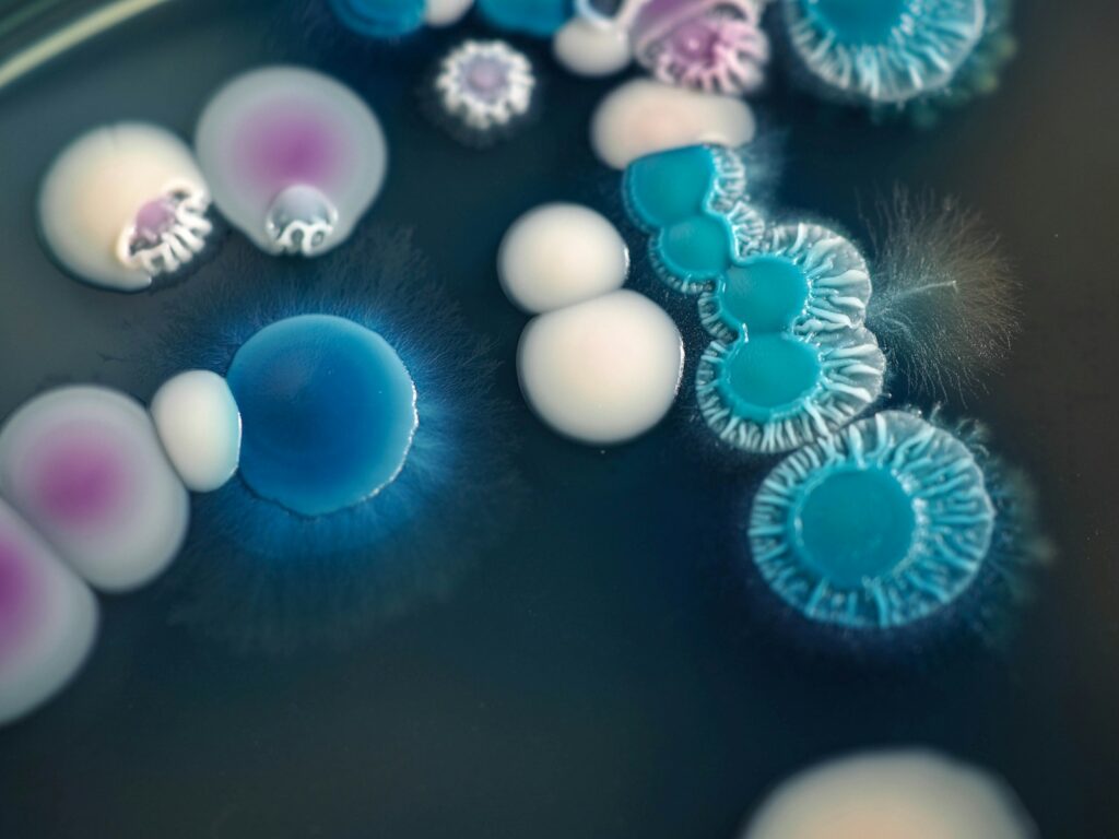 We&#8217;re building life from scratch: 27 biological processes recreated in laboratories