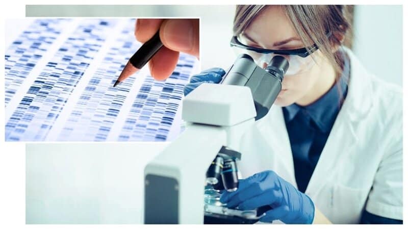 The Scientific Discovery So Dangerous, Three Countries Banned It Immediately