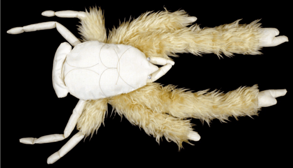 38 Bizarre Deep-Sea Creatures Scientists Discovered in the Last Decade