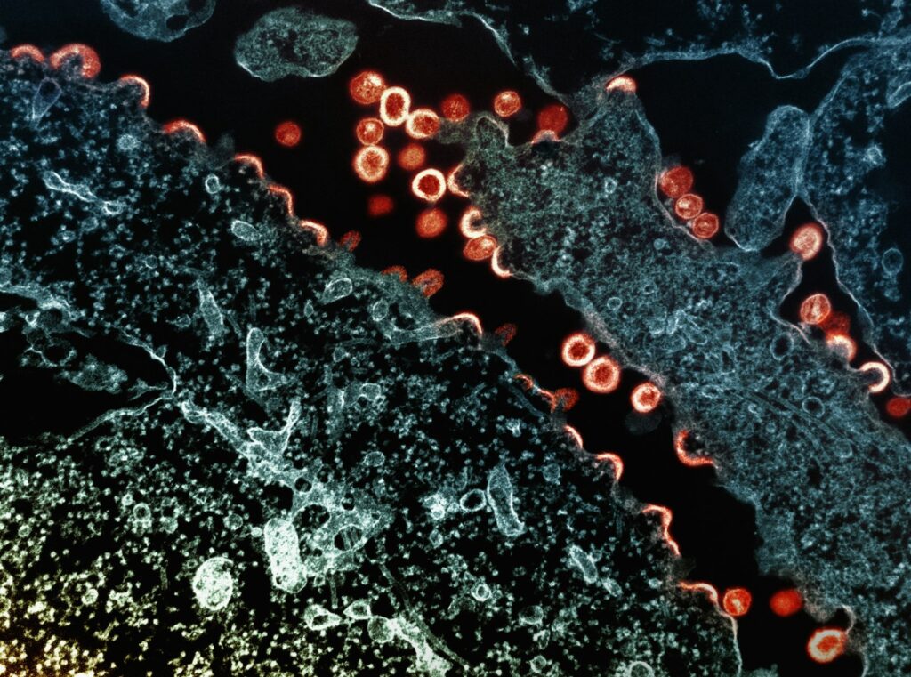 We&#8217;re building life from scratch: 27 biological processes recreated in laboratories