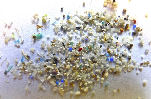 I&#8217;m a Marine Biologist—Here Are 28 Shocking Things I&#8217;ve Found in Ocean Plastic