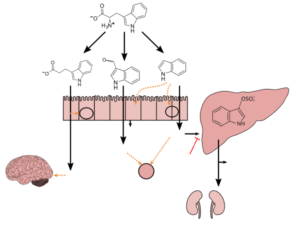 Why Everything You Learned in Biology Class Is Outdated — 28 Recent Discoveries That Rewrote the Rules