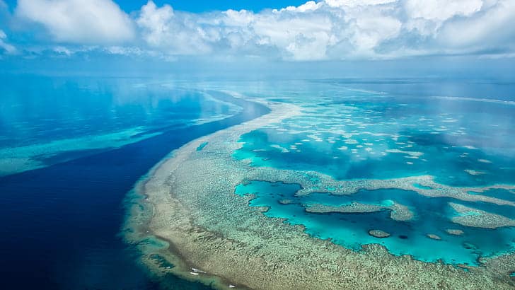 The Great Barrier Reef’s Chemical Conversations: How Coral, Fish, and Algae Talk Underwater