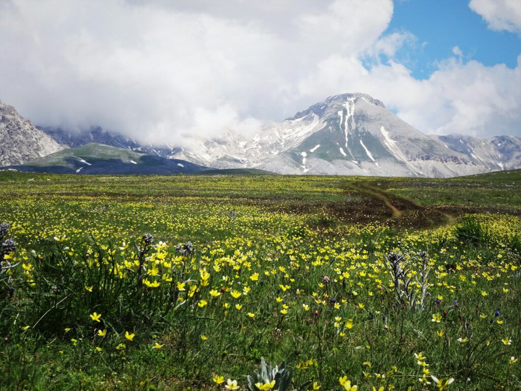 21 Changes Happening in Polar Regions That Will Affect the Entire Planet