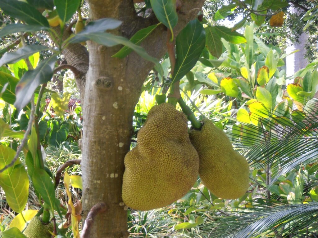 23 Master Manipulator Plants That Make Animals Work For Them