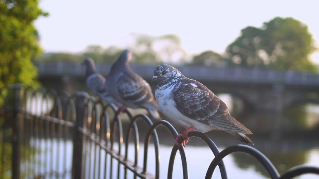 Why Everything You Learned in Biology Class Is Outdated — 28 Recent Discoveries That Rewrote the Rules