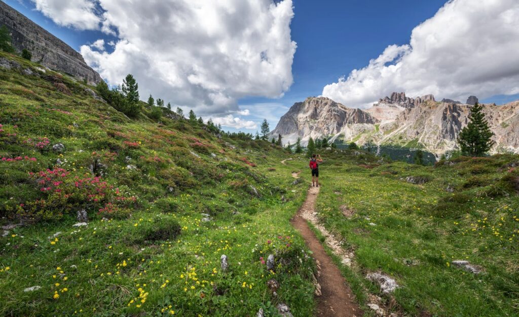 12 Science-Backed Benefits of Walking in Nature for Mental Health