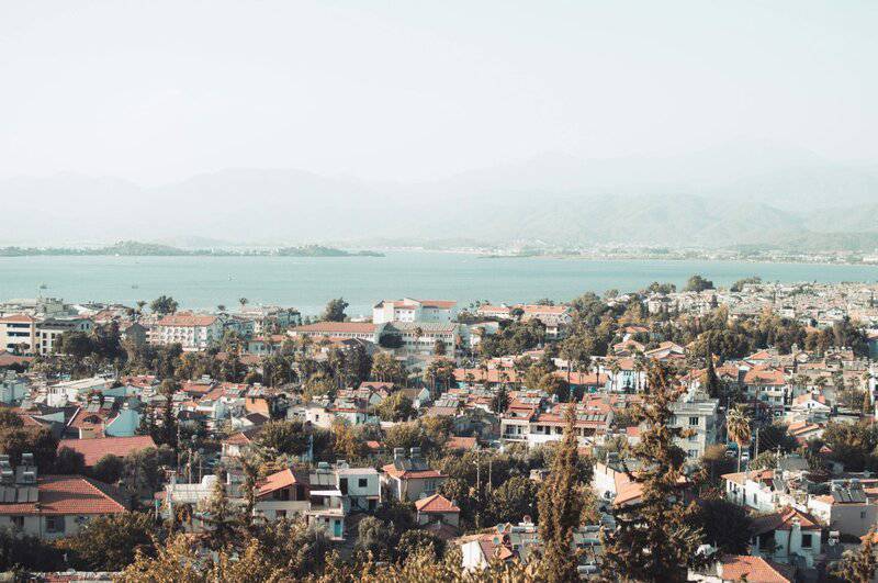 15 Ways Scientists Are Tackling the Climate Crisis Right Now