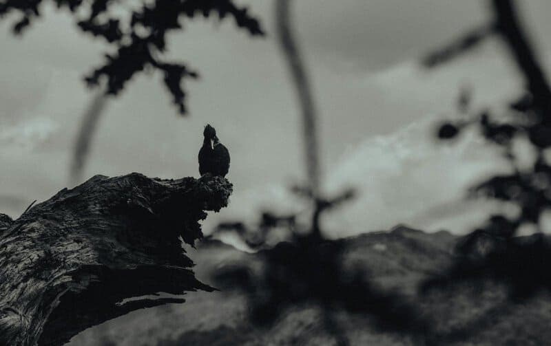 What Is Reality? Discover the Mind-Bending Truth Behind Existence