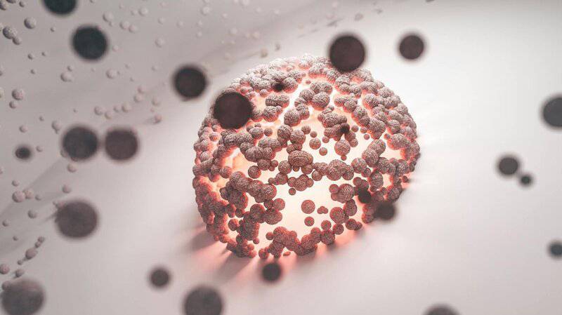 While you sleep, your body performs miracles: 23 overnight processes that keep you alive