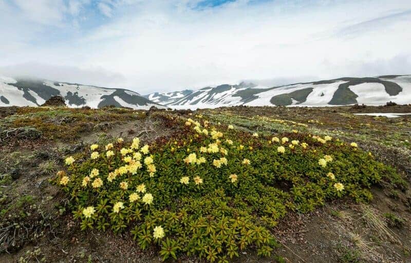 21 Changes Happening in Polar Regions That Will Affect the Entire Planet