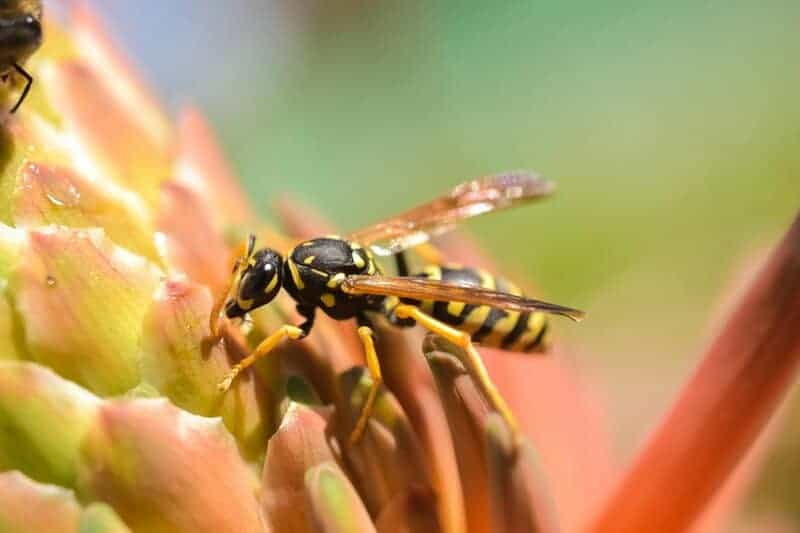 Breakthrough in Synthetic Biology: Scientists Create Self-Replicating Molecules