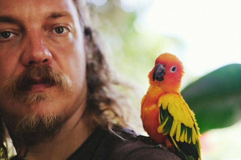 Animal Intelligence Will Blow Your Mind — 34 Incredible Facts About How Smart Pets Really Are